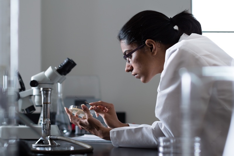 Female student in a lab coat, leans over a microscope in a Rollins science lab.
