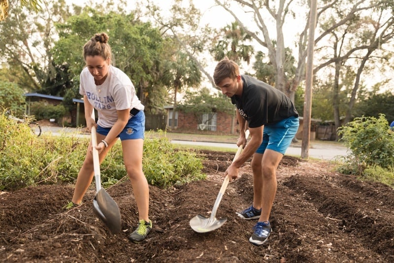 Two students are at a neighborhood farm, digging in preparation of planting vegetables.