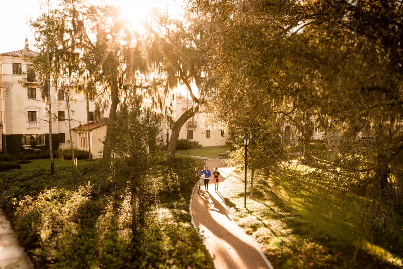Rollins' huge oak trees reach over students walking down a path as the sunlight streams through the branches.