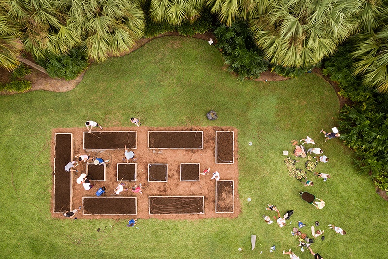Aerial view of students tending to a community garden.