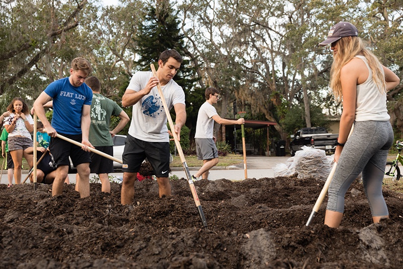 Students with shovels transform a residential lawn into a garden.