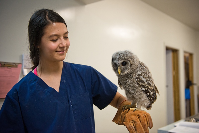 Student in scrubs with an owl perched on her arm.